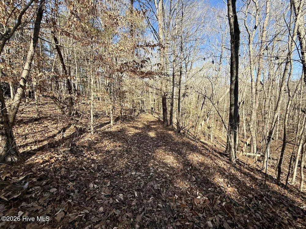 666 Solomon Road Prospect Hill, NC 27314