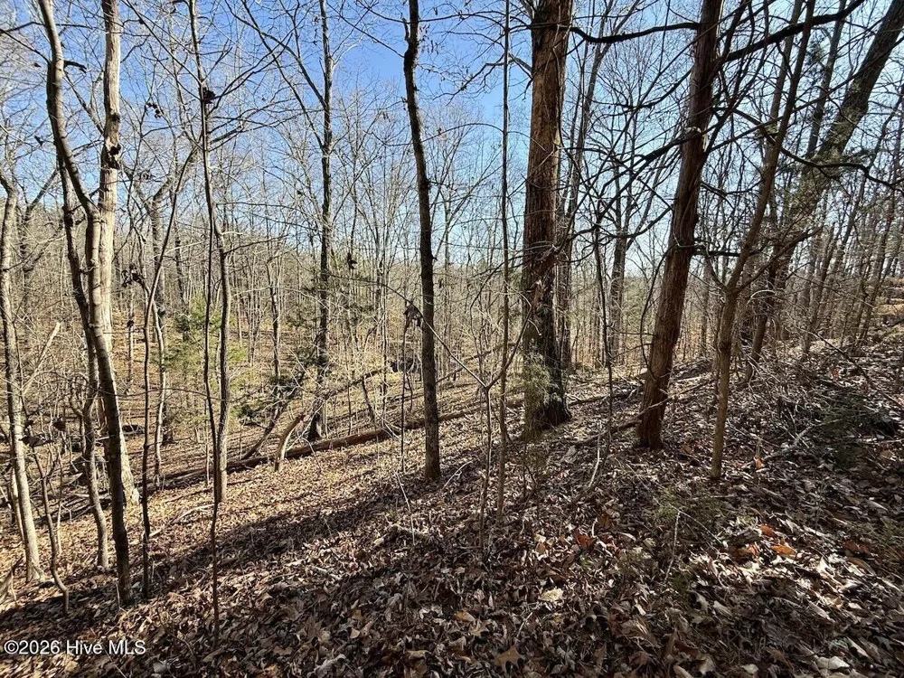 666 Solomon Road Prospect Hill, NC 27314