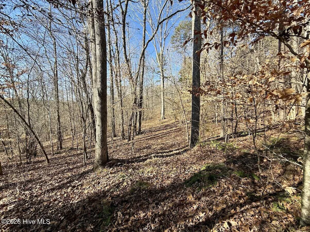 666 Solomon Road Prospect Hill, NC 27314