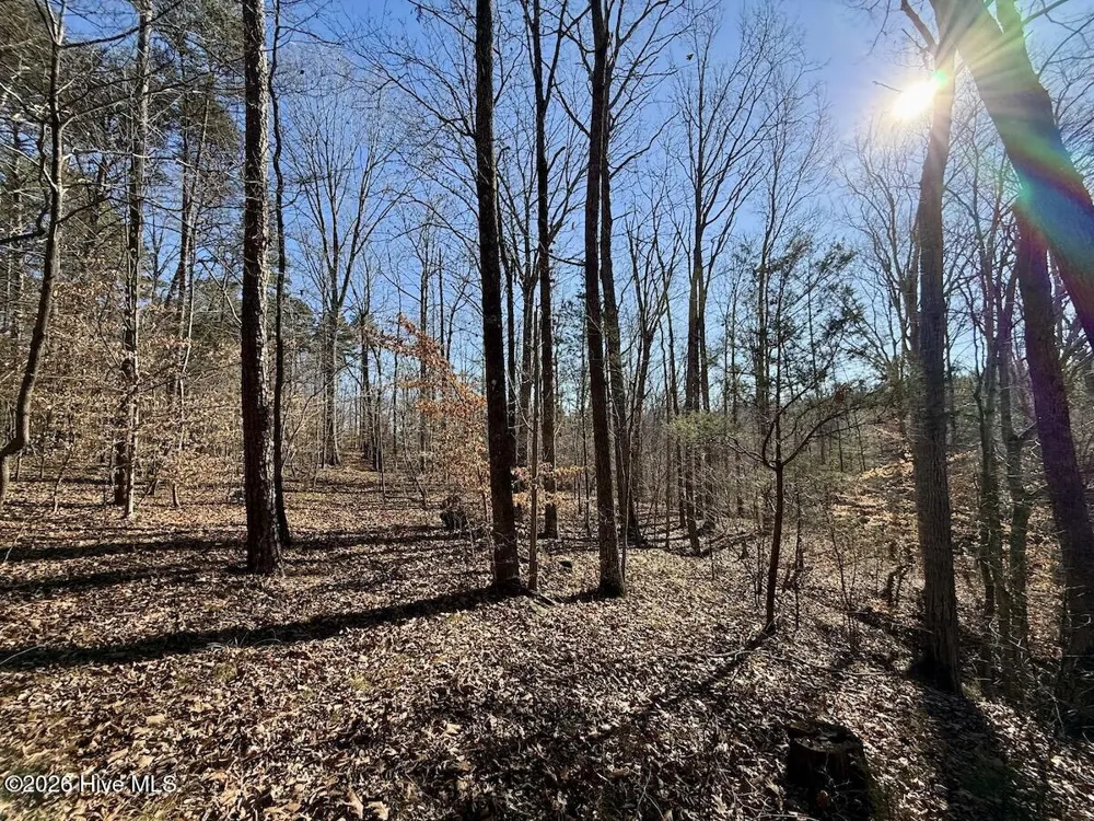 666 Solomon Road Prospect Hill, NC 27314
