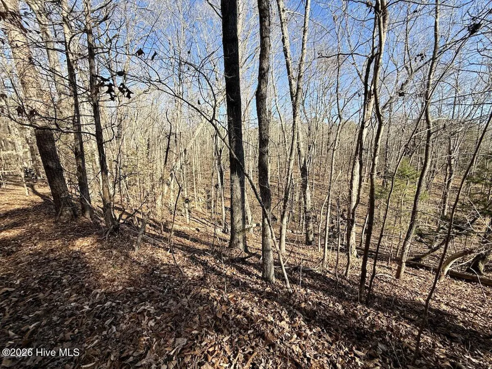 666 Solomon Road Prospect Hill, NC 27314