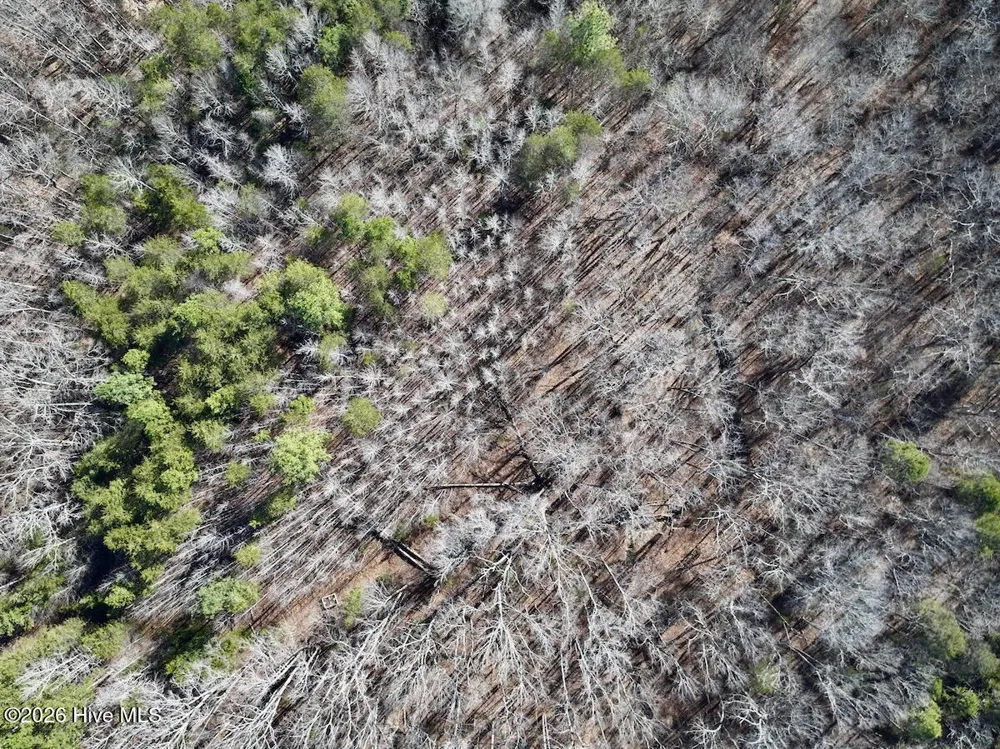 666 Solomon Road Prospect Hill, NC 27314
