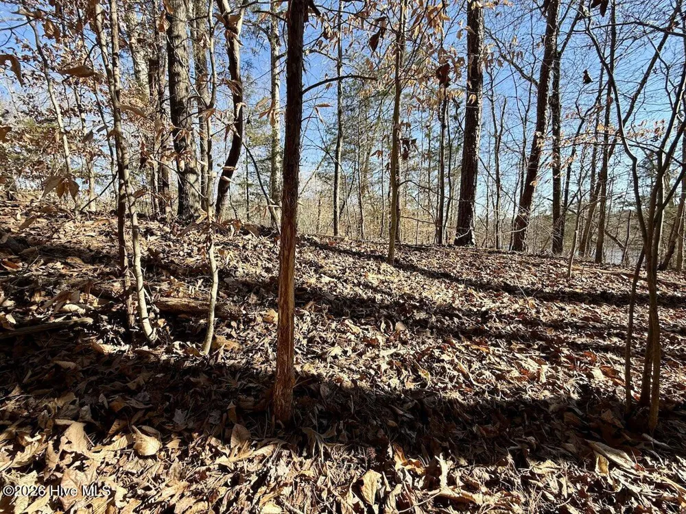666 Solomon Road Prospect Hill, NC 27314