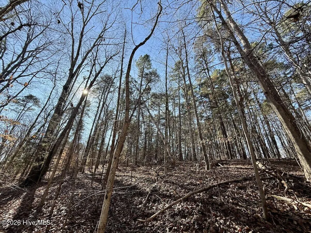 666 Solomon Road Prospect Hill, NC 27314