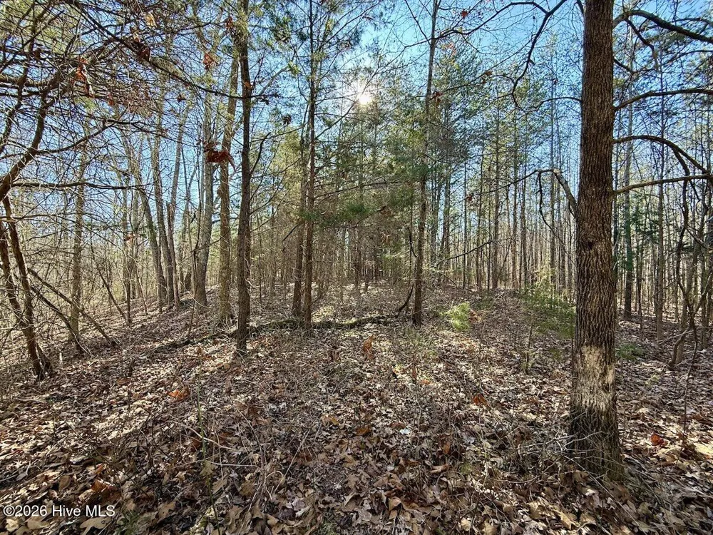 666 Solomon Road Prospect Hill, NC 27314