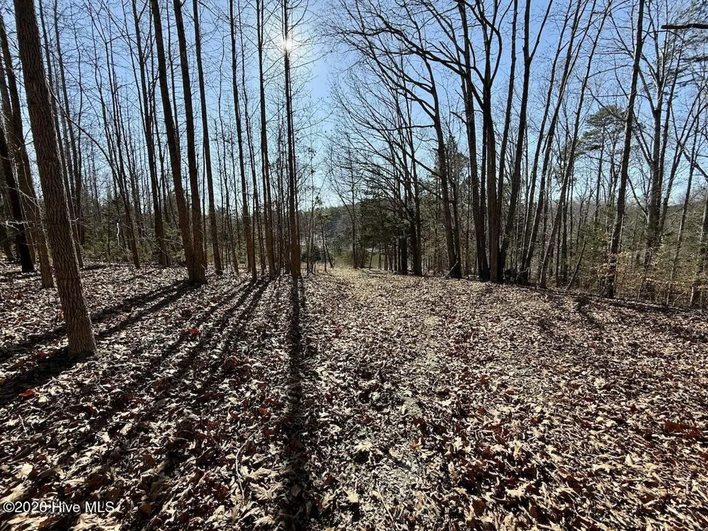 666 Solomon Road Prospect Hill, NC 27314