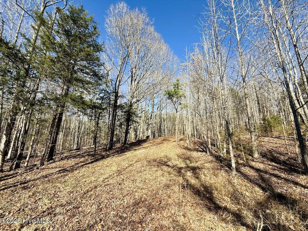 666 Solomon Road Prospect Hill, NC 27314