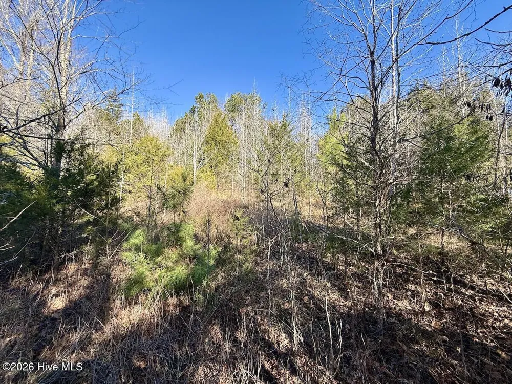 666 Solomon Road Prospect Hill, NC 27314