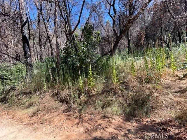 27 Broken Springs Oroville, CA 95966
