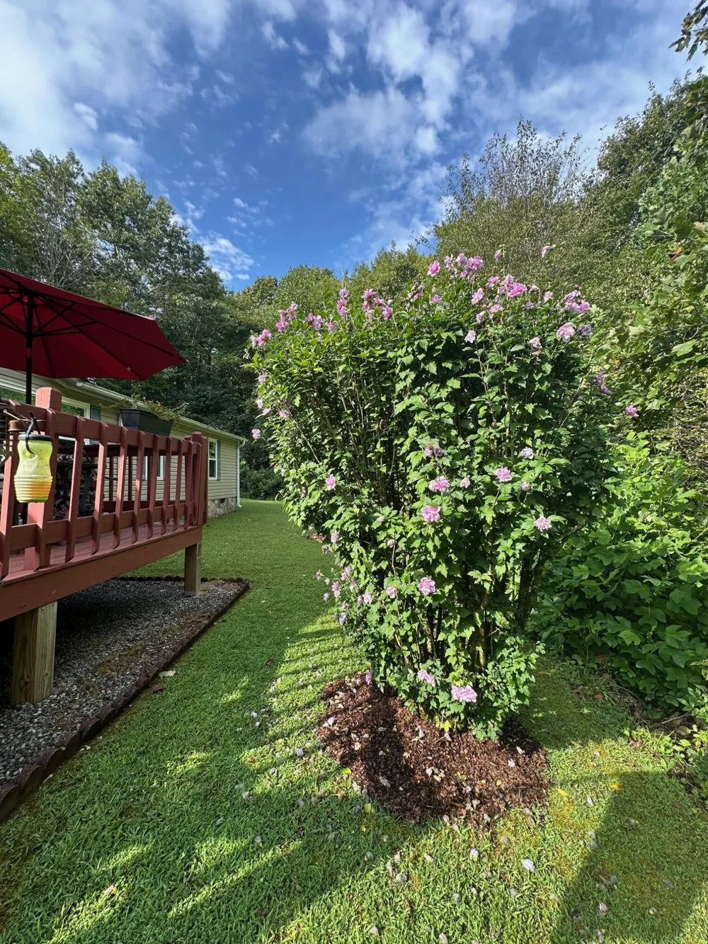 434 D Harvey Road Graysville, TN 37338
