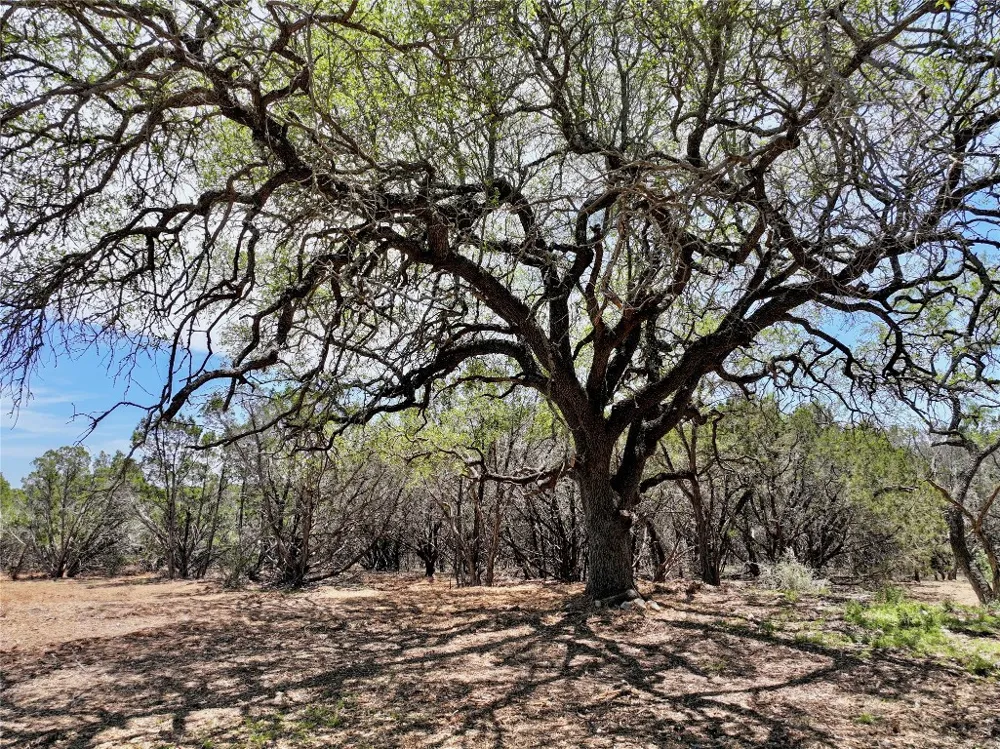 285 Donnie Drive Lampasas, TX 76550