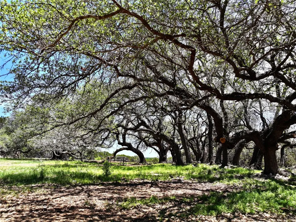 285 Donnie Drive Lampasas, TX 76550