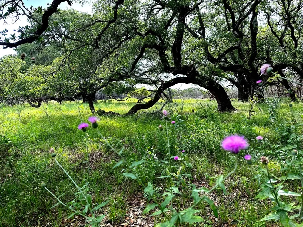 285 Donnie Drive Lampasas, TX 76550
