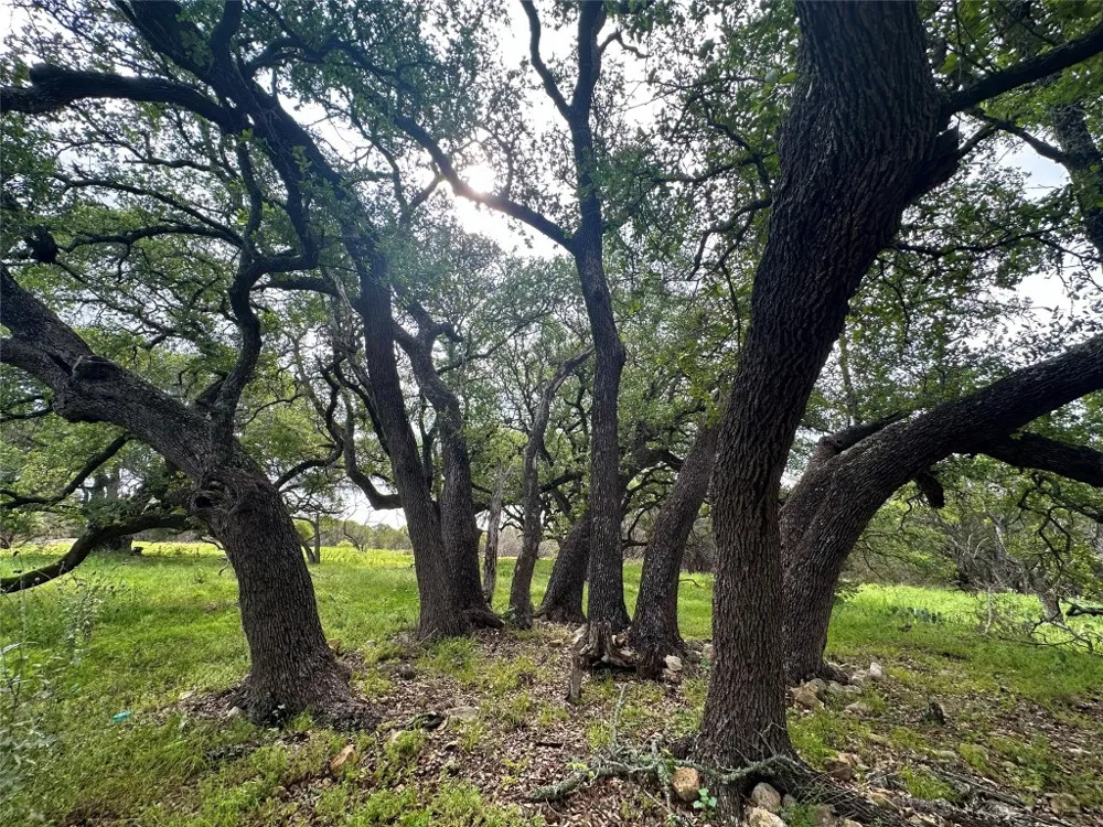285 Donnie Drive Lampasas, TX 76550