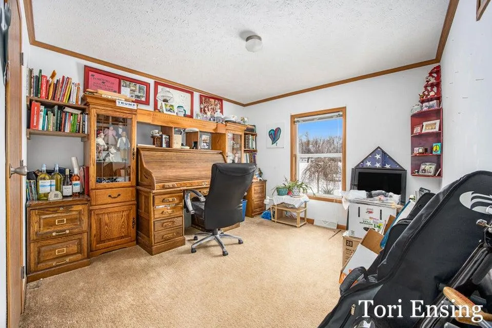 S Greenville Road Montcalm Township, MI 48838
