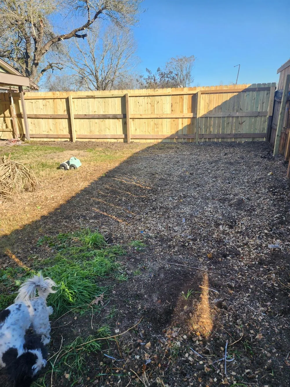 2414 Goldenrod Street Highlands, TX 77562