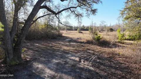 3120 Mount Olive Road