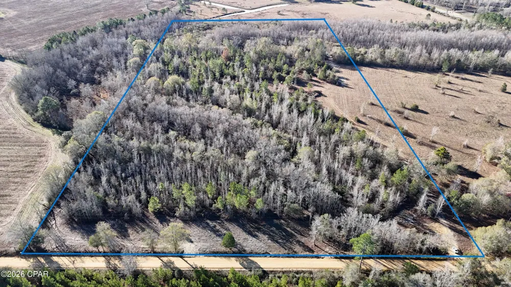 3120 Mount Olive Road Bonifay, FL 32425