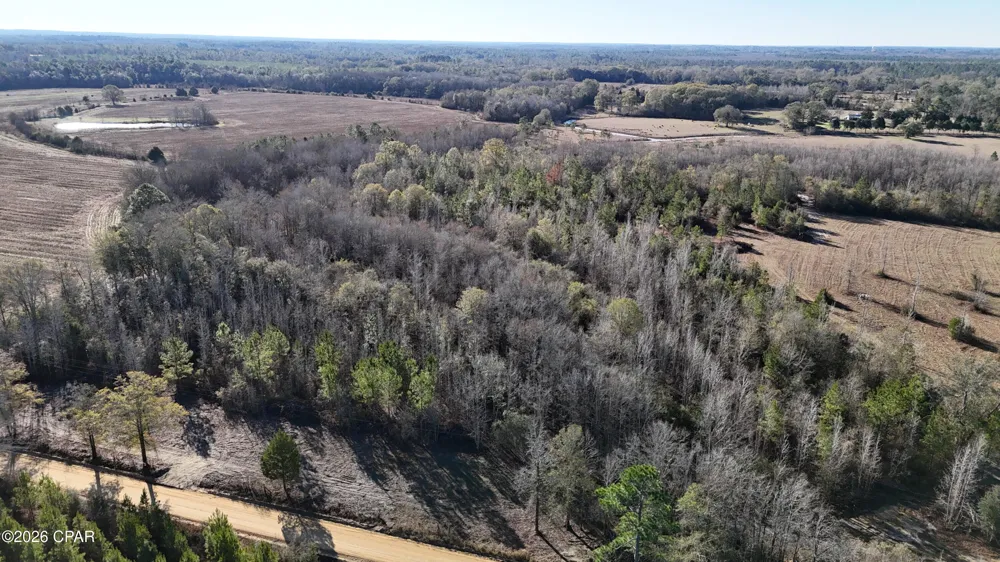 3120 Mount Olive Road Bonifay, FL 32425