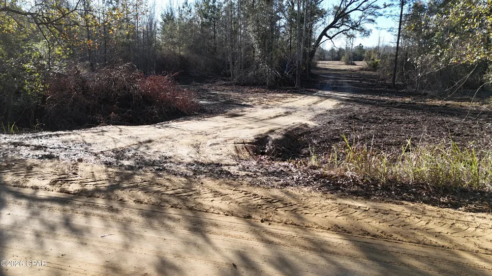 3120 Mount Olive Road Bonifay, FL 32425