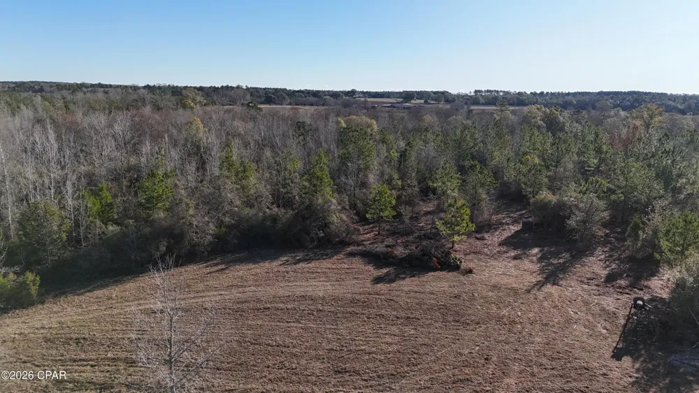 3120 Mount Olive Road Bonifay, FL 32425