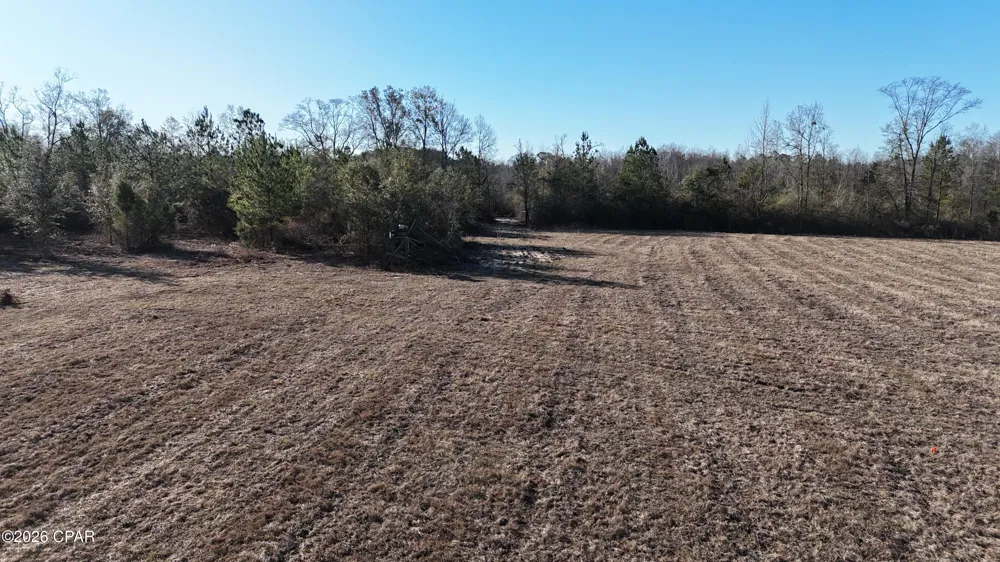 3120 Mount Olive Road Bonifay, FL 32425