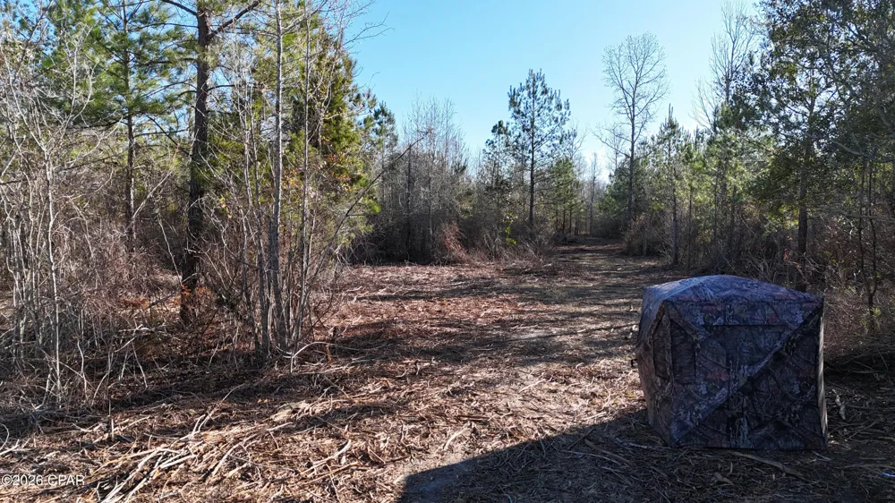 3120 Mount Olive Road Bonifay, FL 32425