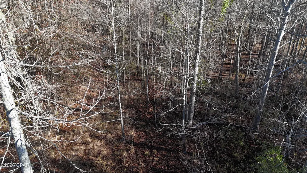 3120 Mount Olive Road Bonifay, FL 32425