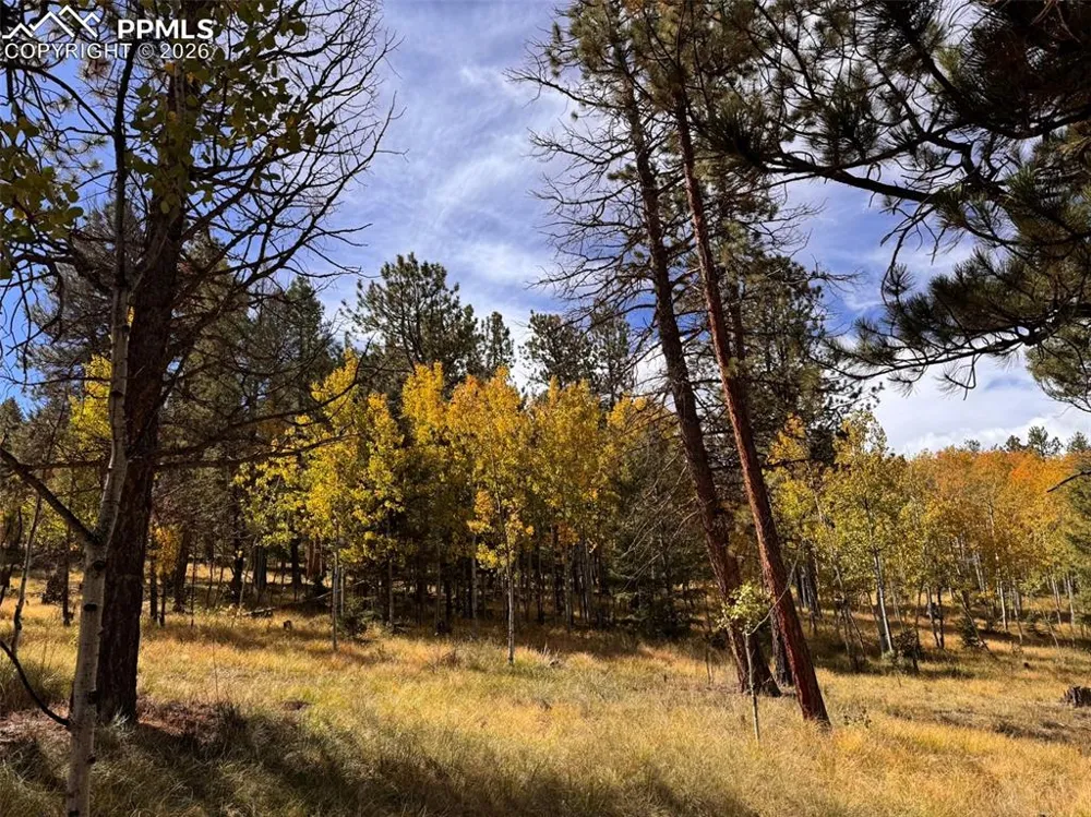 Lot 20 Echo Lake Drive Lake George, CO 80827
