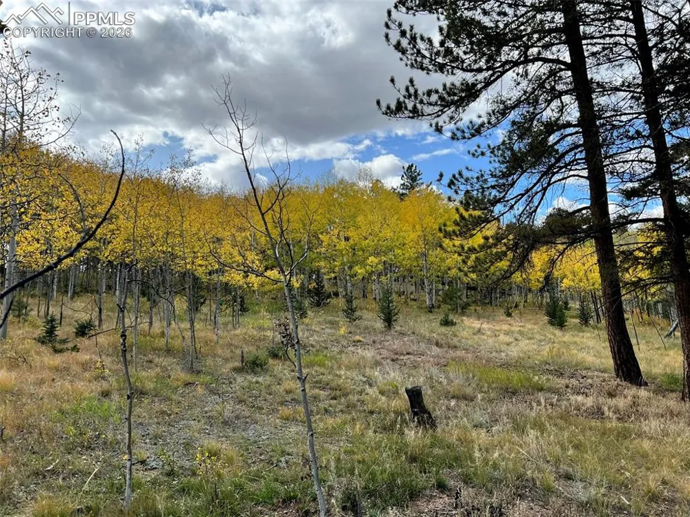 Lot 20 Echo Lake Drive Lake George, CO 80827