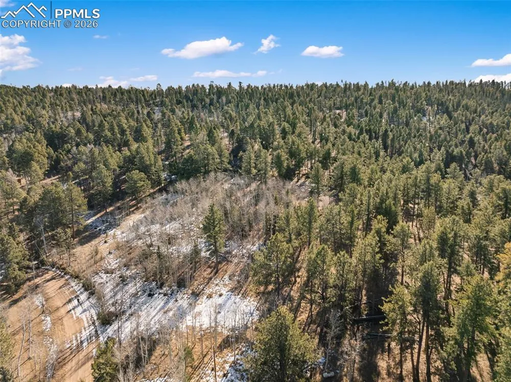 Lot 20 Echo Lake Drive Lake George, CO 80827