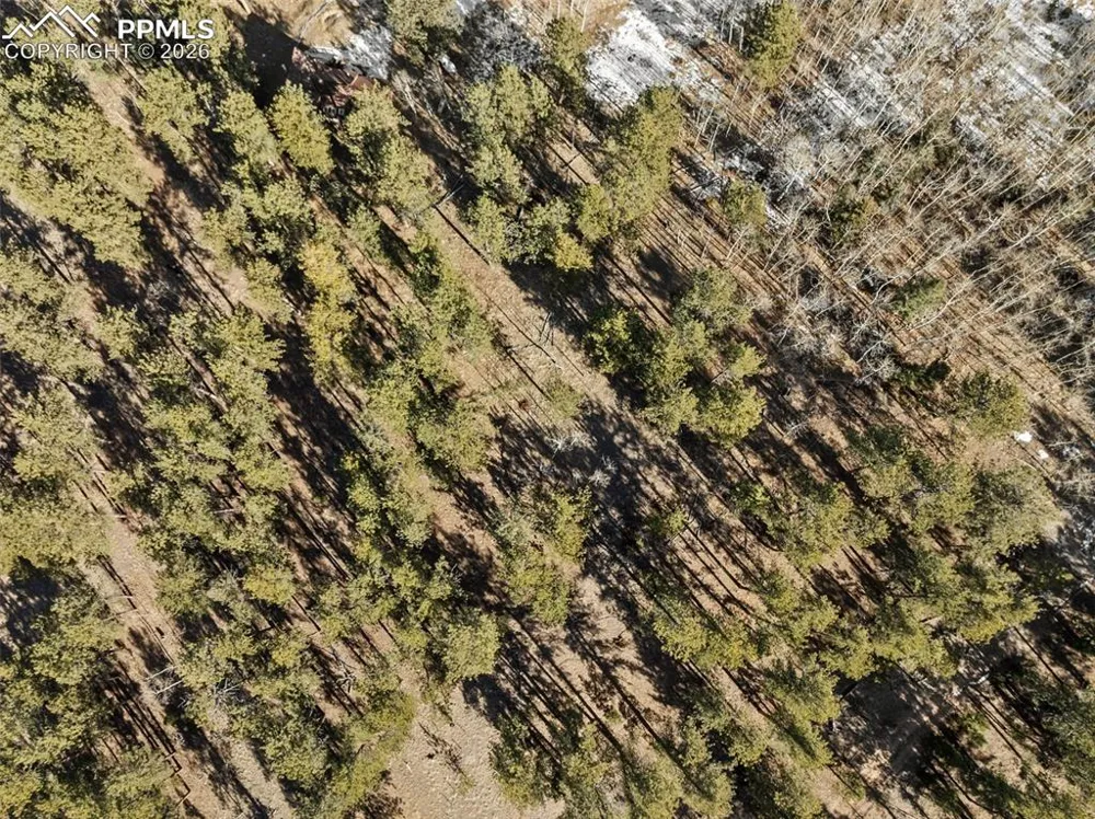 Lot 20 Echo Lake Drive Lake George, CO 80827