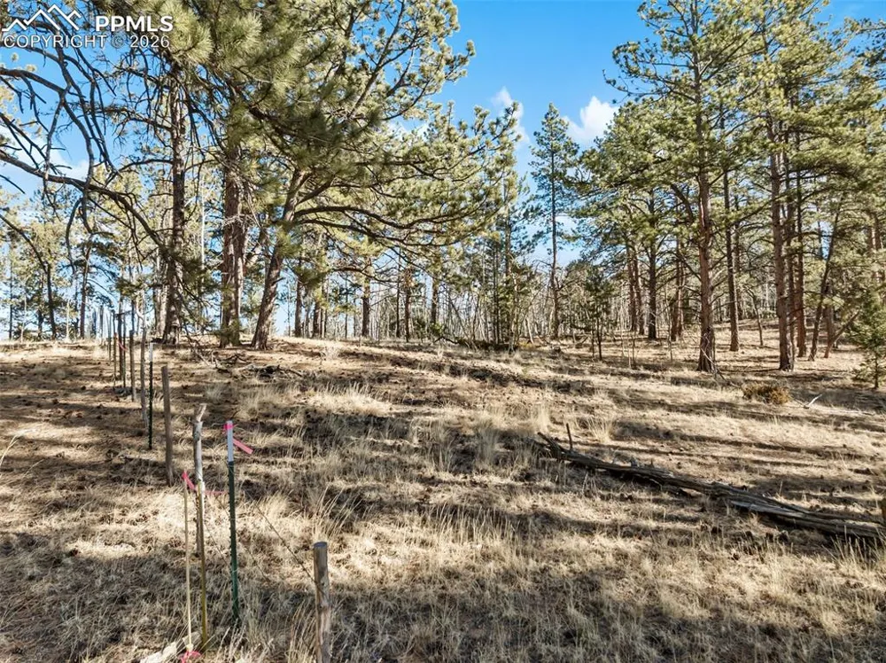 Lot 20 Echo Lake Drive Lake George, CO 80827