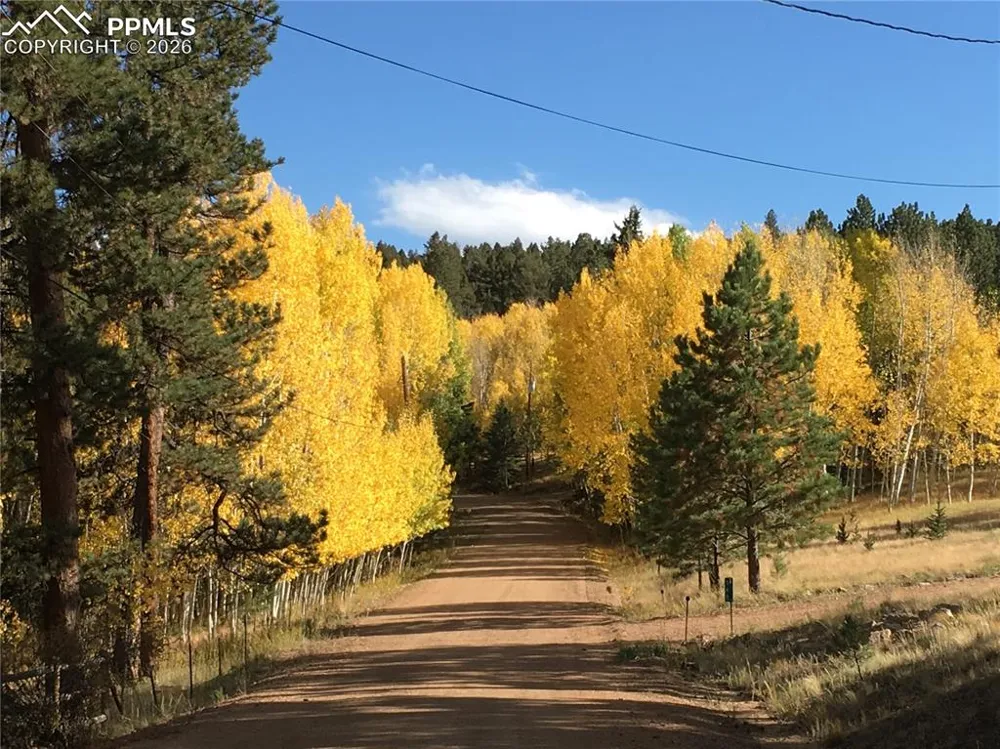 Lot 20 Echo Lake Drive Lake George, CO 80827