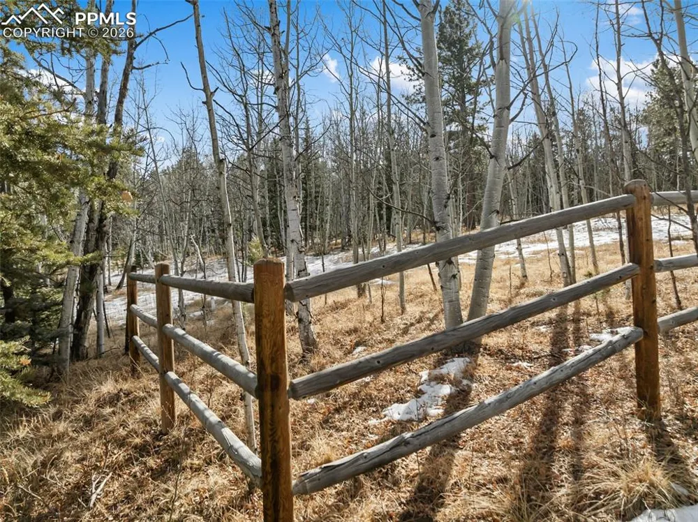 Lot 20 Echo Lake Drive Lake George, CO 80827