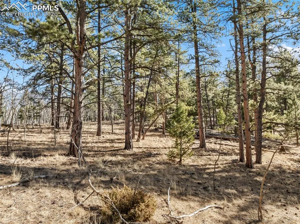 Lot 20 Echo Lake Drive Lake George, CO 80827