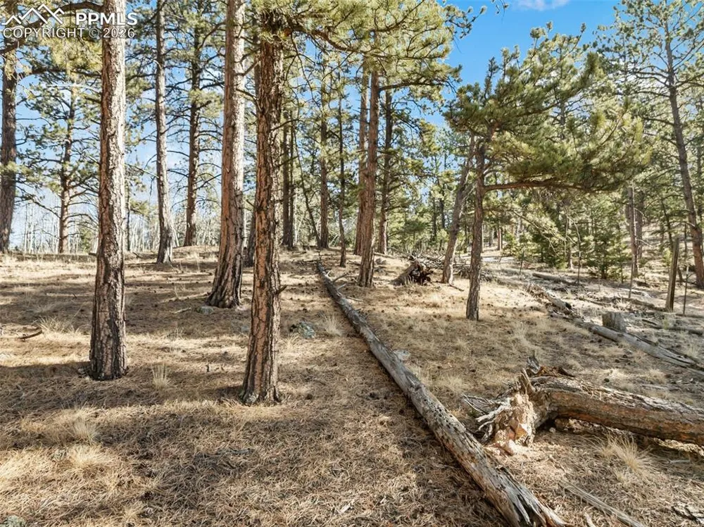 Lot 20 Echo Lake Drive Lake George, CO 80827