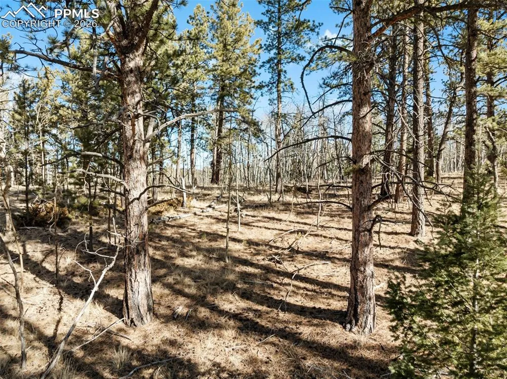Lot 20 Echo Lake Drive Lake George, CO 80827