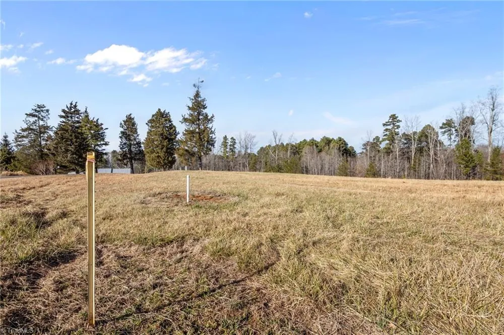 LOT 3 FISHERS COURT Roxboro, NC 27574