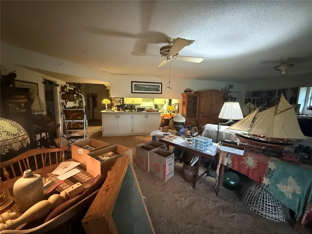 37315 BEACH DRIVE Umatilla, FL 32784