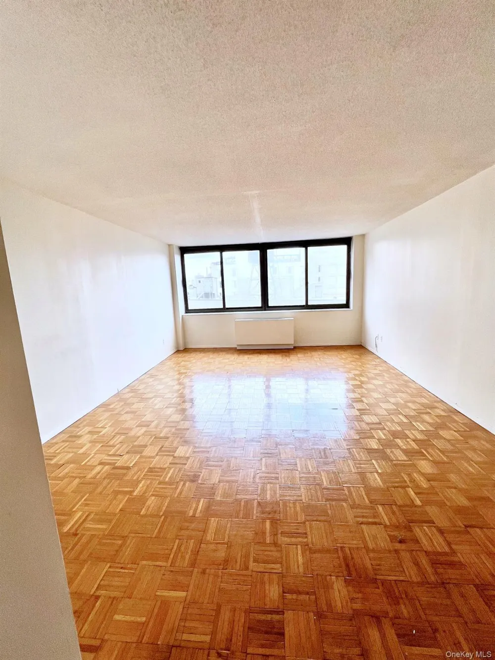 376 Broadway #11D New York (Manhattan), NY 10013