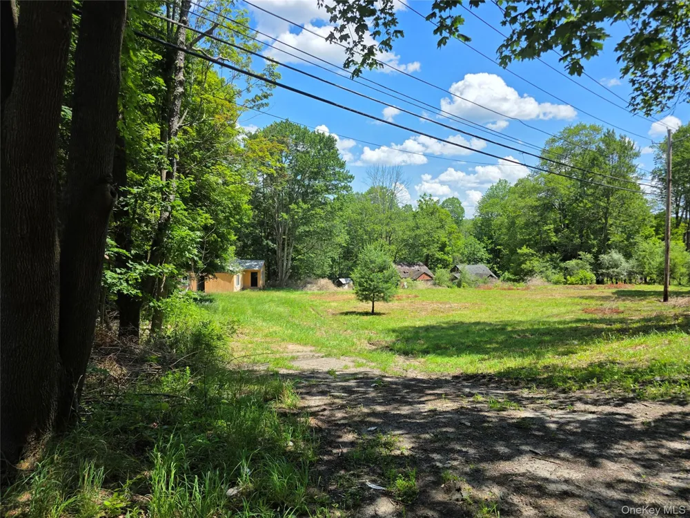 1094 Old Route 17 Harris, NY 12742