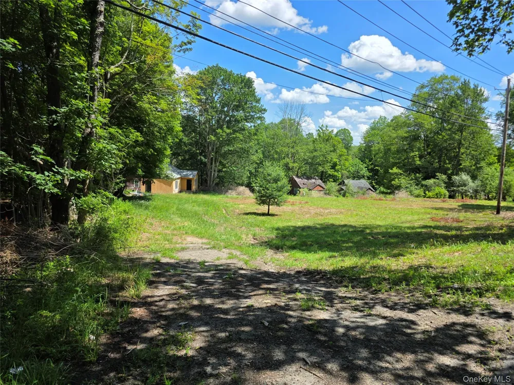 1094 Old Route 17 Harris, NY 12742