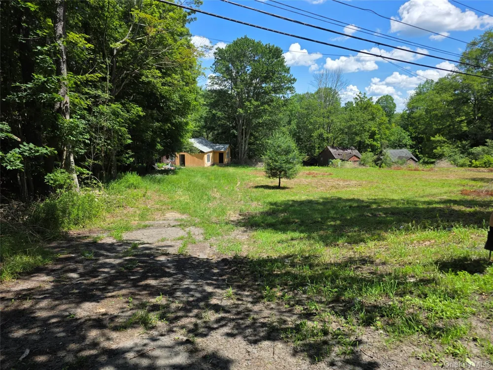 1094 Old Route 17 Harris, NY 12742