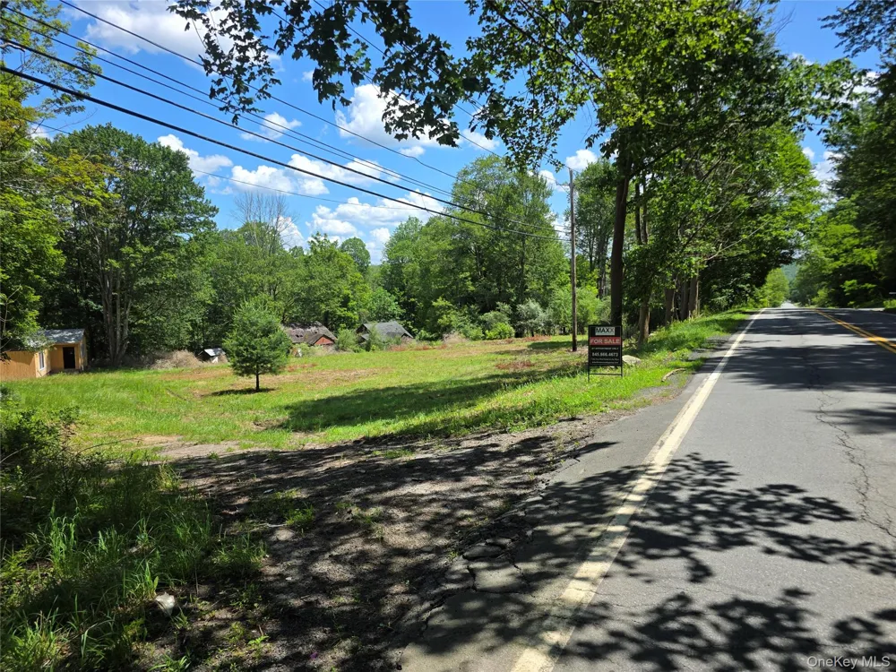 1094 Old Route 17 Harris, NY 12742