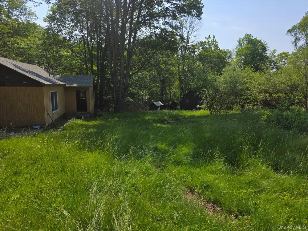 1094 Old Route 17 Harris, NY 12742