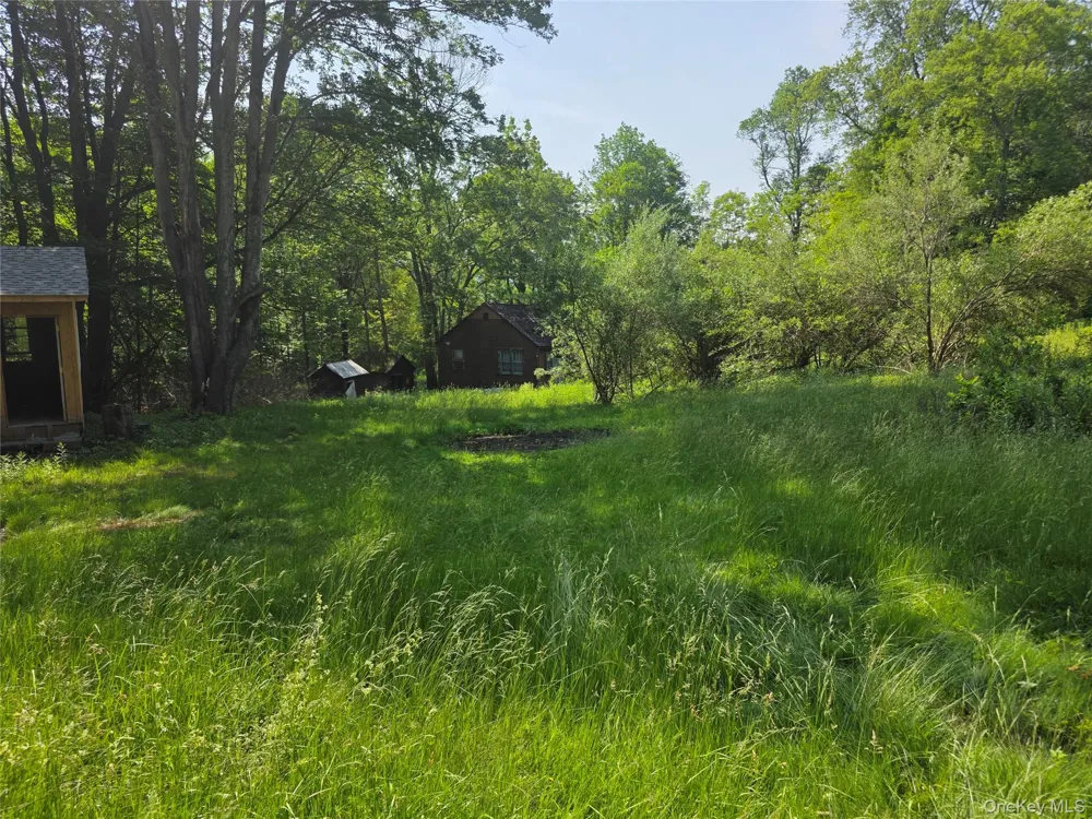 1094 Old Route 17 Harris, NY 12742