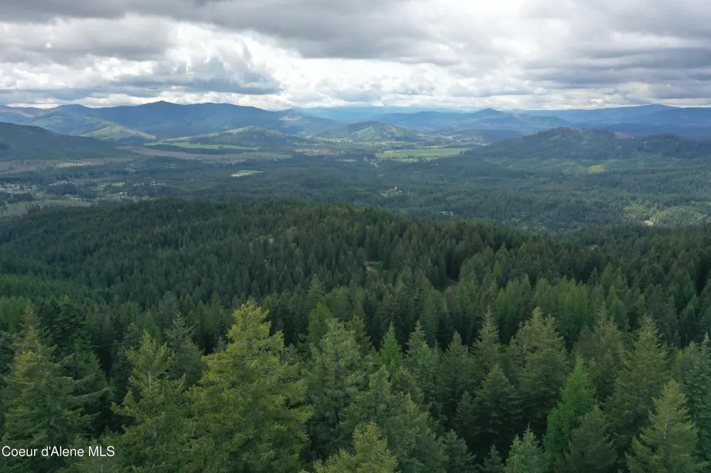 371 Upriver View Drive Fernwood, ID 83830