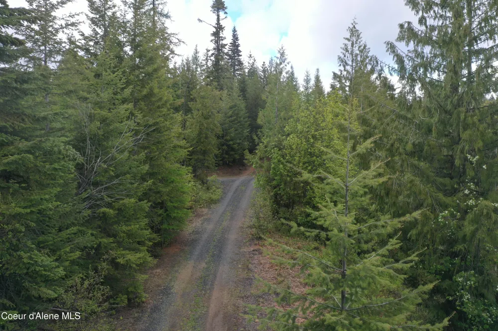371 Upriver View Drive Fernwood, ID 83830