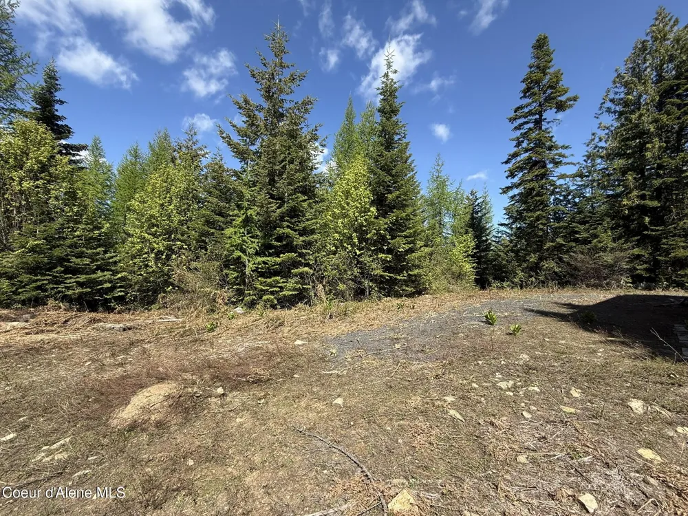 371 Upriver View Drive Fernwood, ID 83830